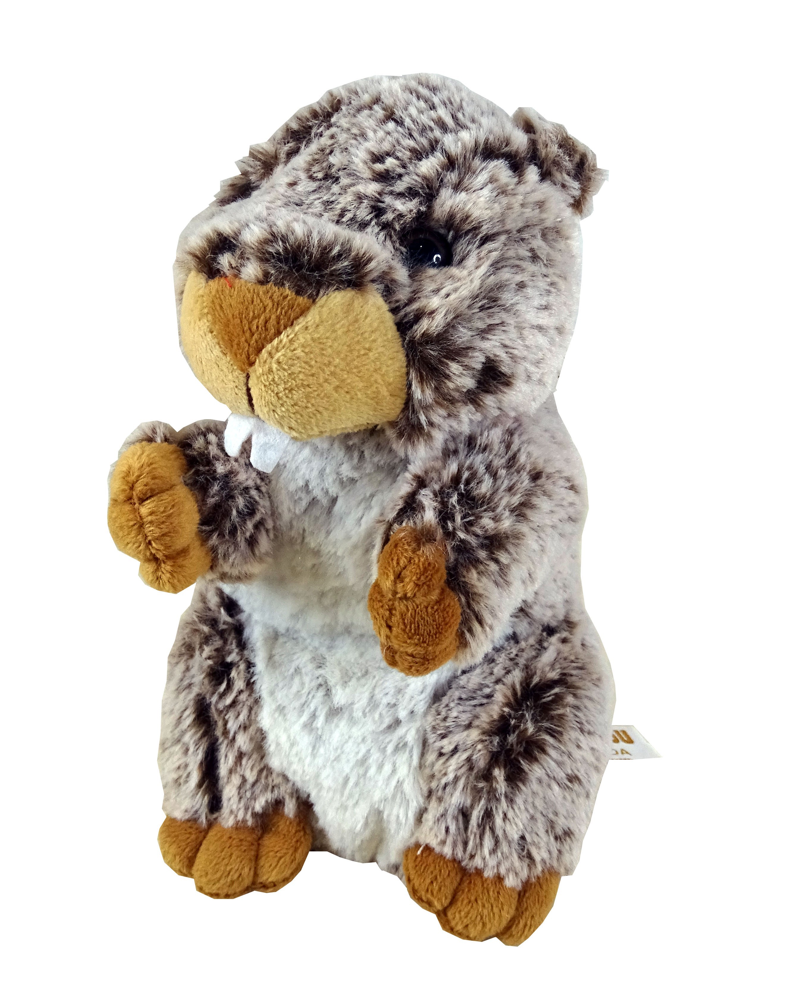 peluche marmotte